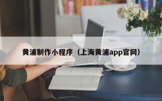 攸县黄浦制作小程序（上海黄浦app官网）