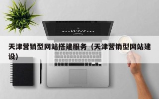 攸县天津营销型网站搭建服务（天津营销型网站建设）