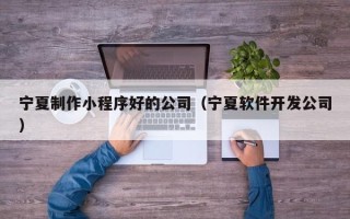 攸县宁夏制作小程序好的公司（宁夏软件开发公司）